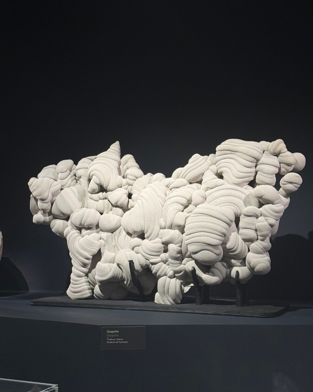 Gogotte des Yvelines exposée au Muséum de Toulouse, une concrétion de sable aux formes sculpturales