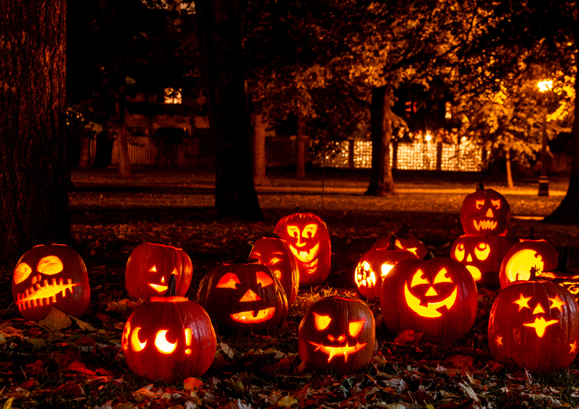 Halloween